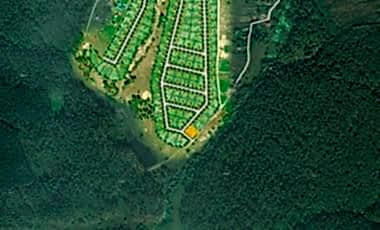 Участок № 226