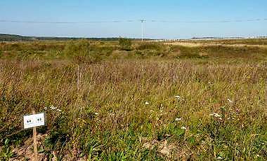 Участок № 63