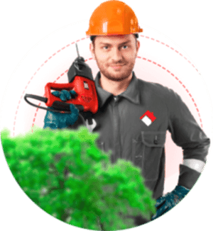 Профессиональная команда